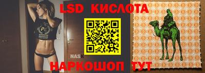 прущие грибы Краснознаменск