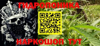 прущие грибы Краснознаменск