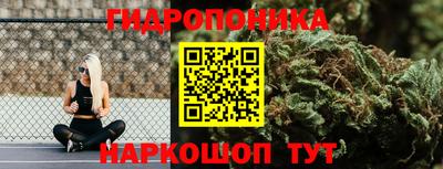 ешки Краснодар