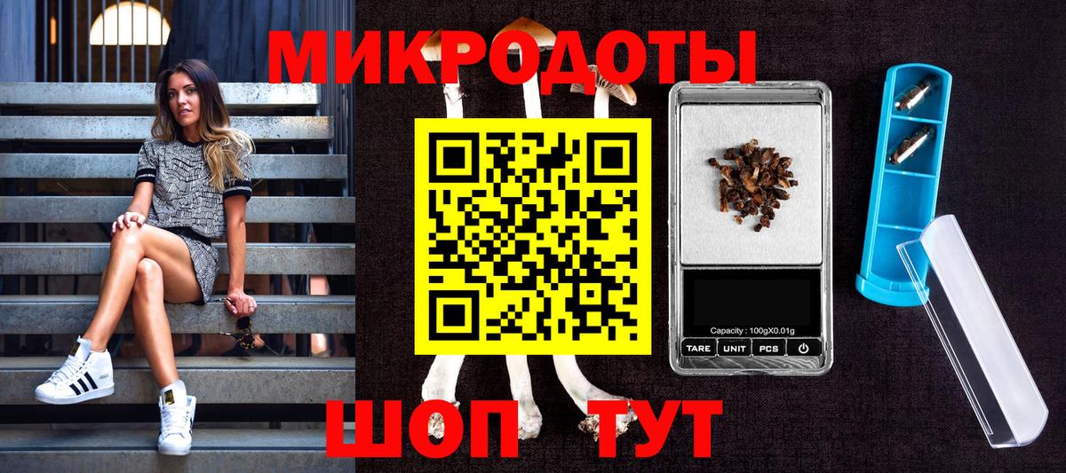 Псилоцибиновые грибы Cubensis Киров